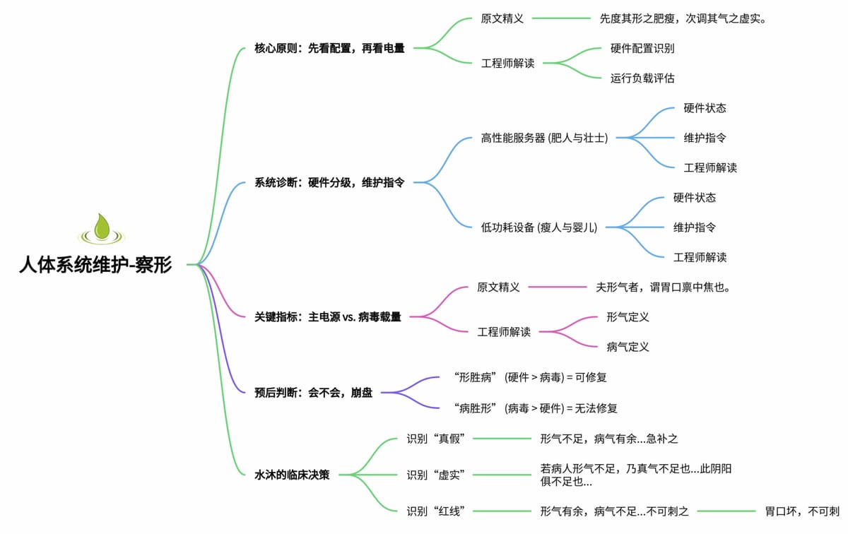 人体系统维护（针刺）-“察形”